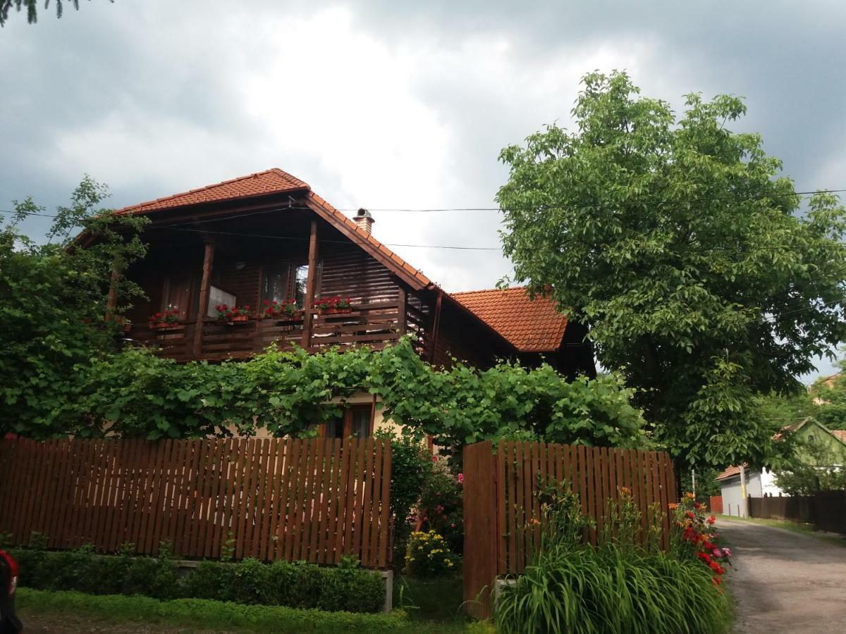 Pasager House Apartamento Sovata Exterior foto